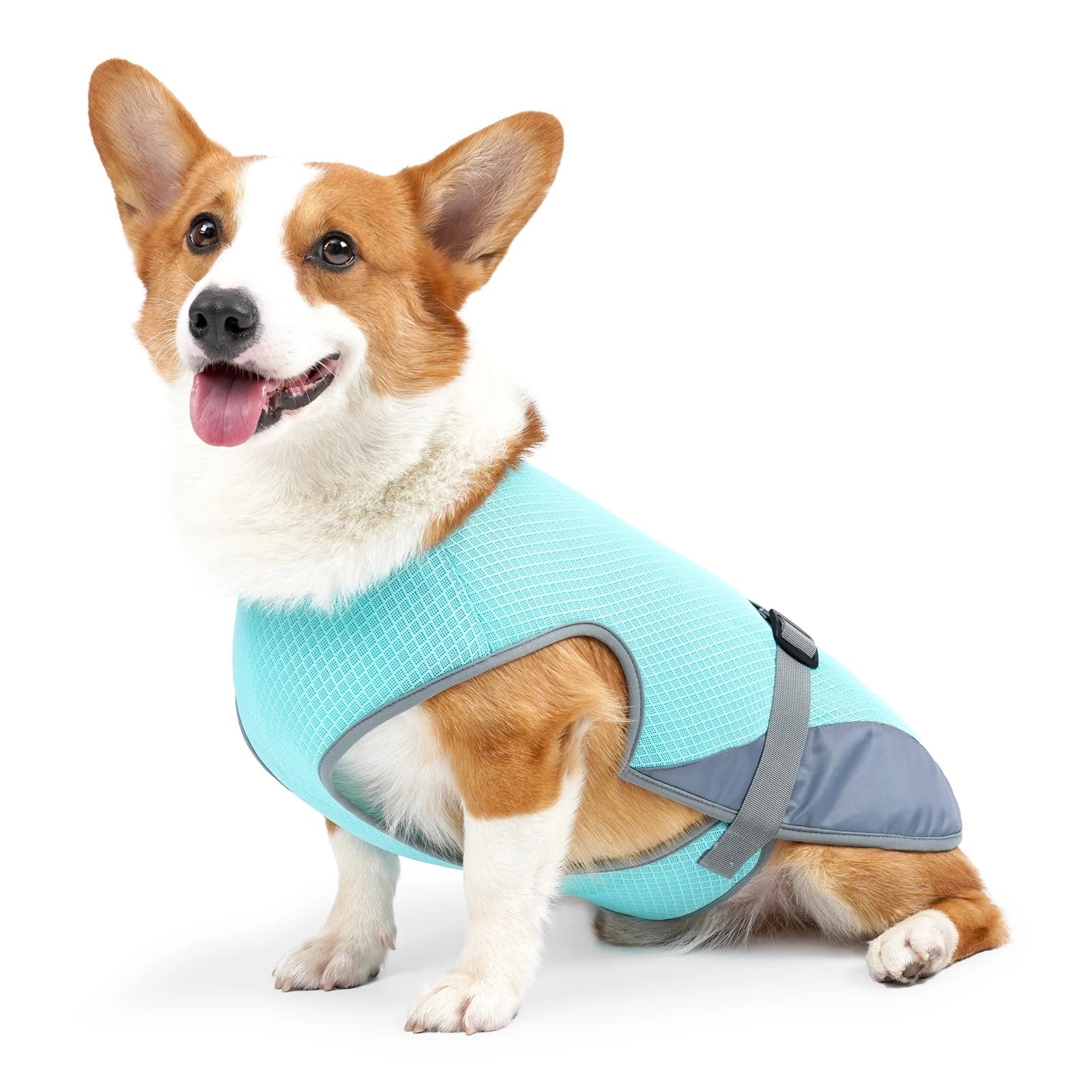 VexiDomic Breathable Mesh Dog Cooling Vest for Summer Heat