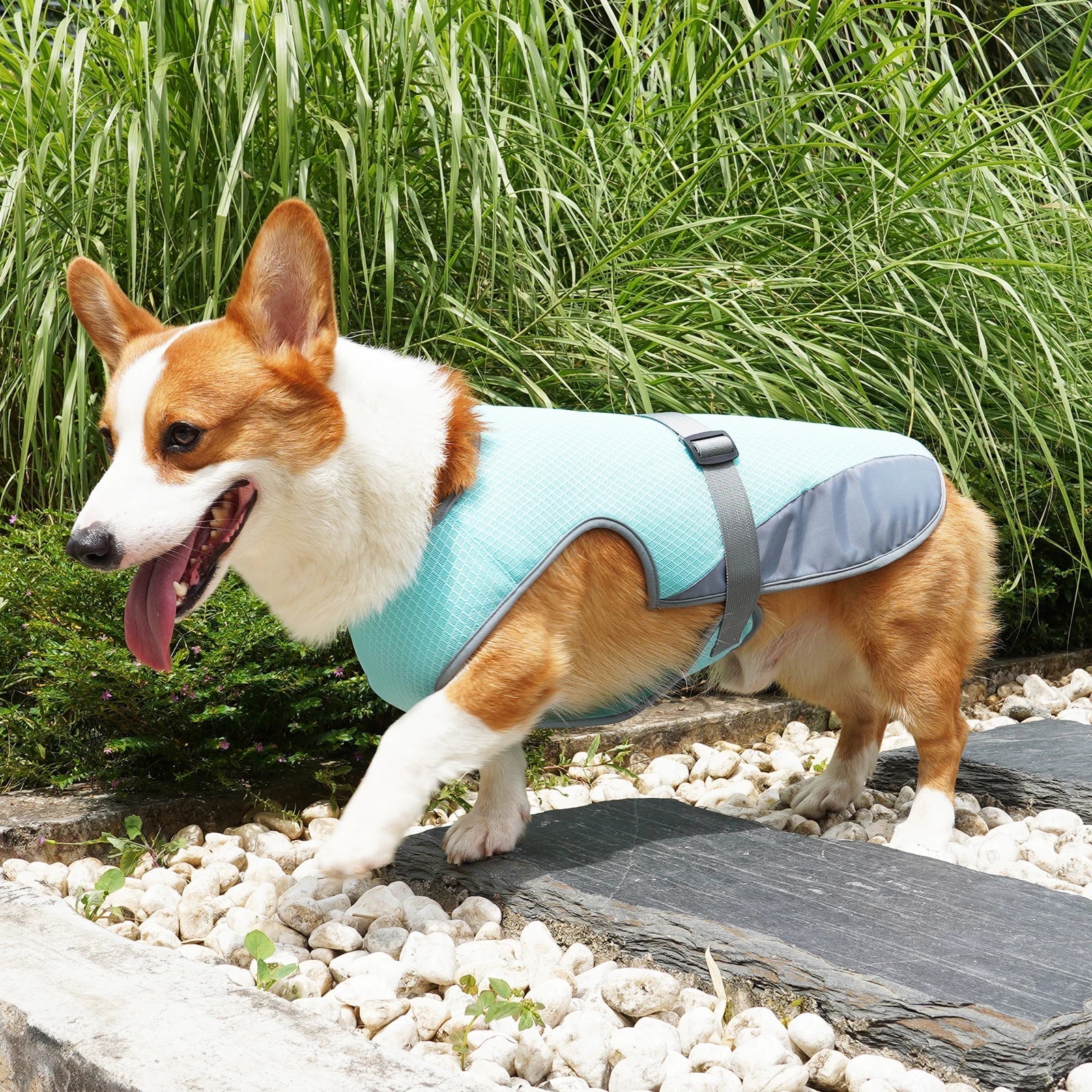 VexiDomic Breathable Mesh Dog Cooling Vest for Summer Heat