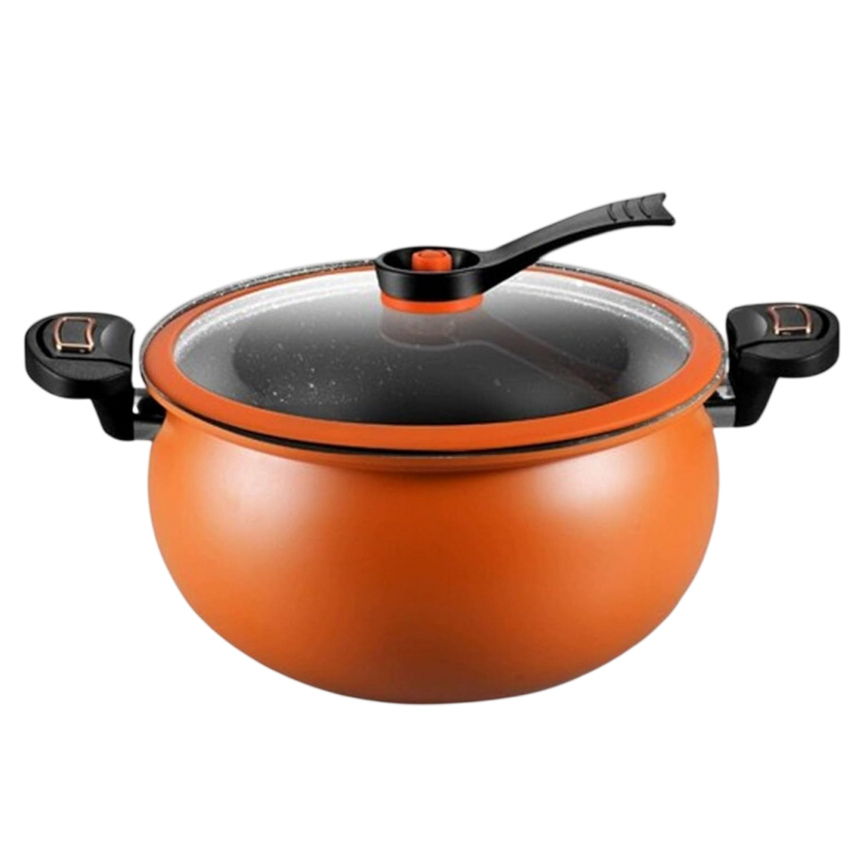 Cerasmill 5L+ Ceramic Pot | Non-Stick Multi-Stove Cooking Pot