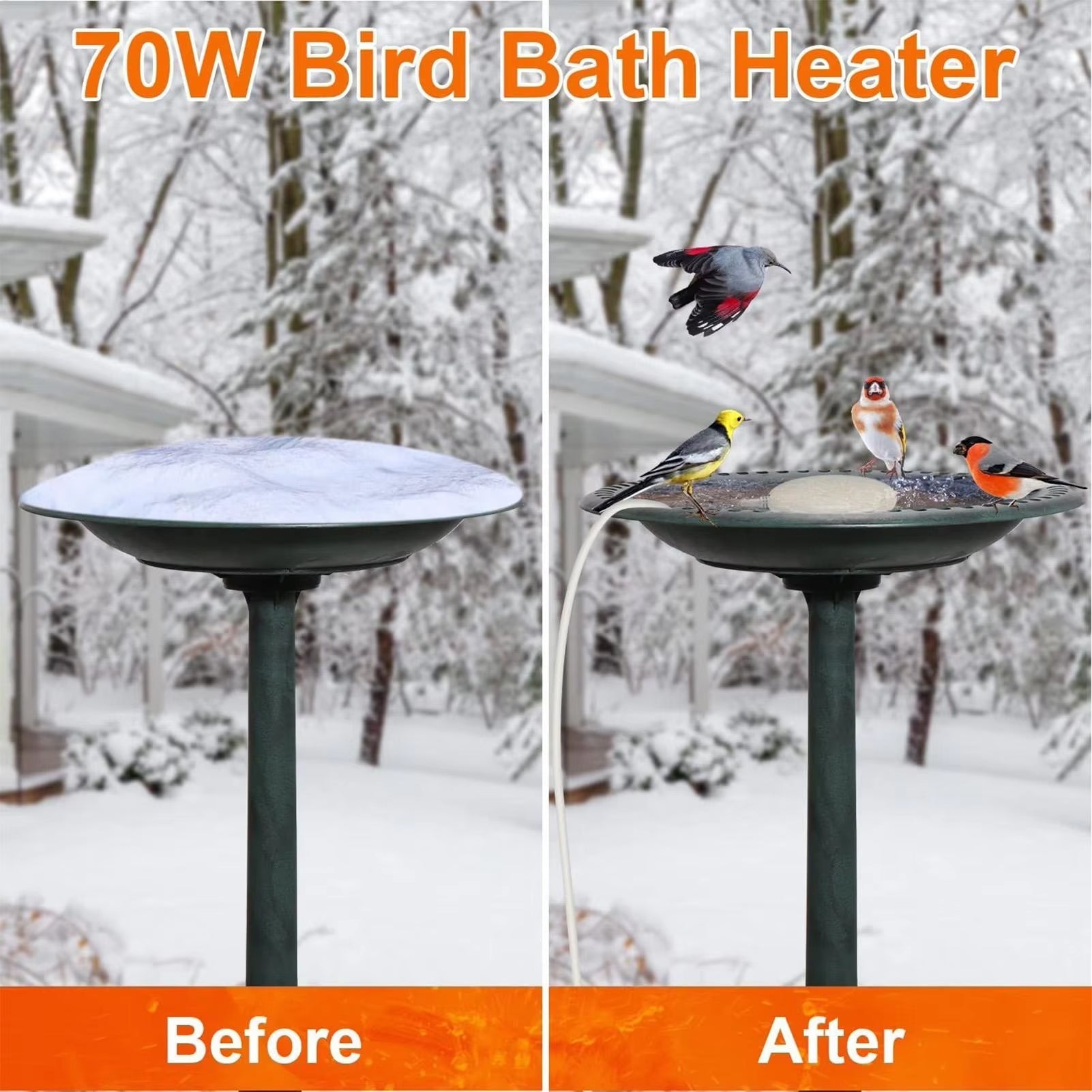 CoziPerch Thermostatic Outdoor Bird Bath and Pond Deicer