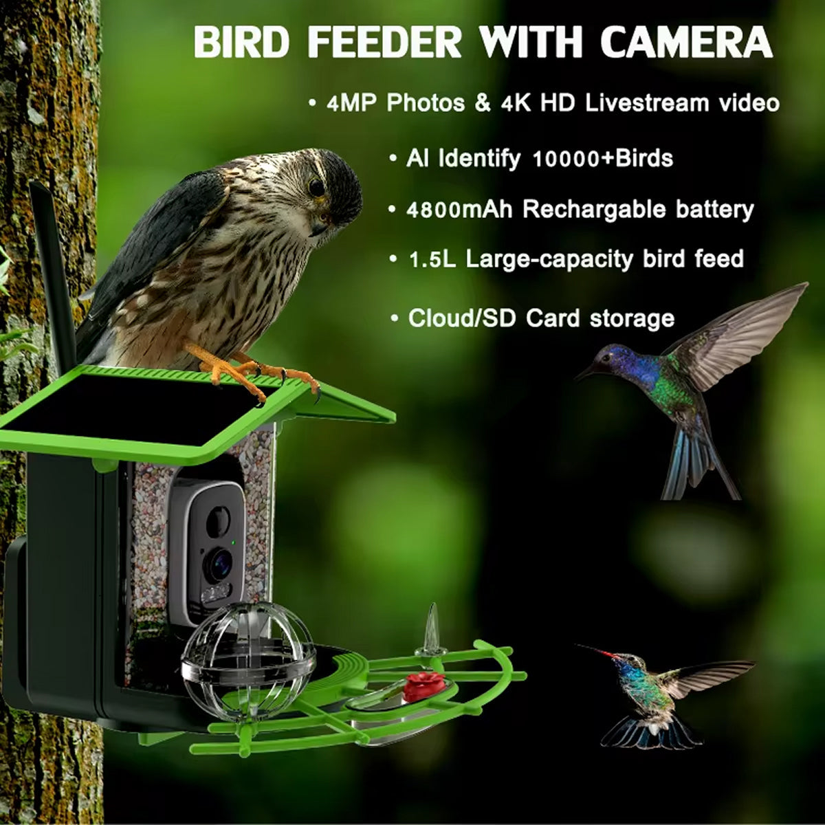 DasFonix Smart Bird Feeder Camera 2K 4MP AI Species Identification 5G WiFi & Solar