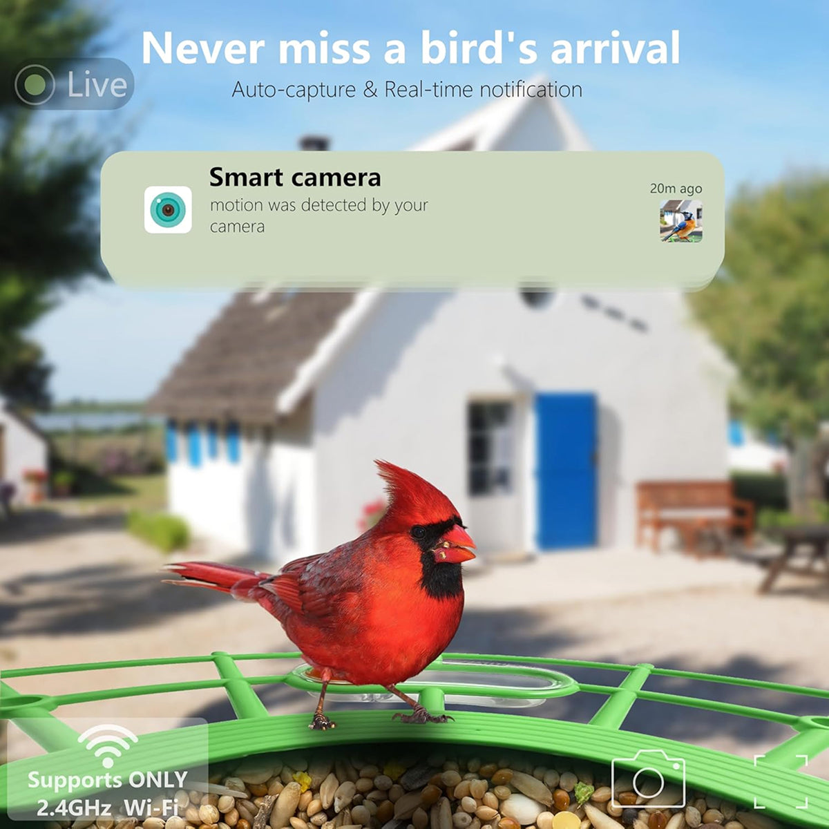 DasFonix Smart Bird Feeder Camera 2K 4MP AI Species Identification 5G WiFi & Solar