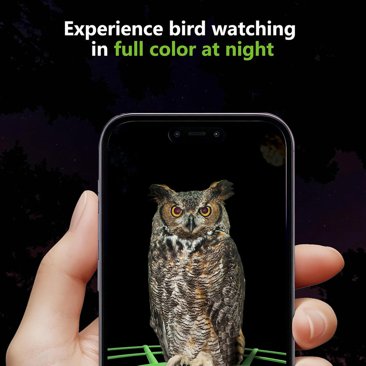 DasFonix Smart Bird Feeder Camera 2K 4MP AI Species Identification 5G WiFi & Solar