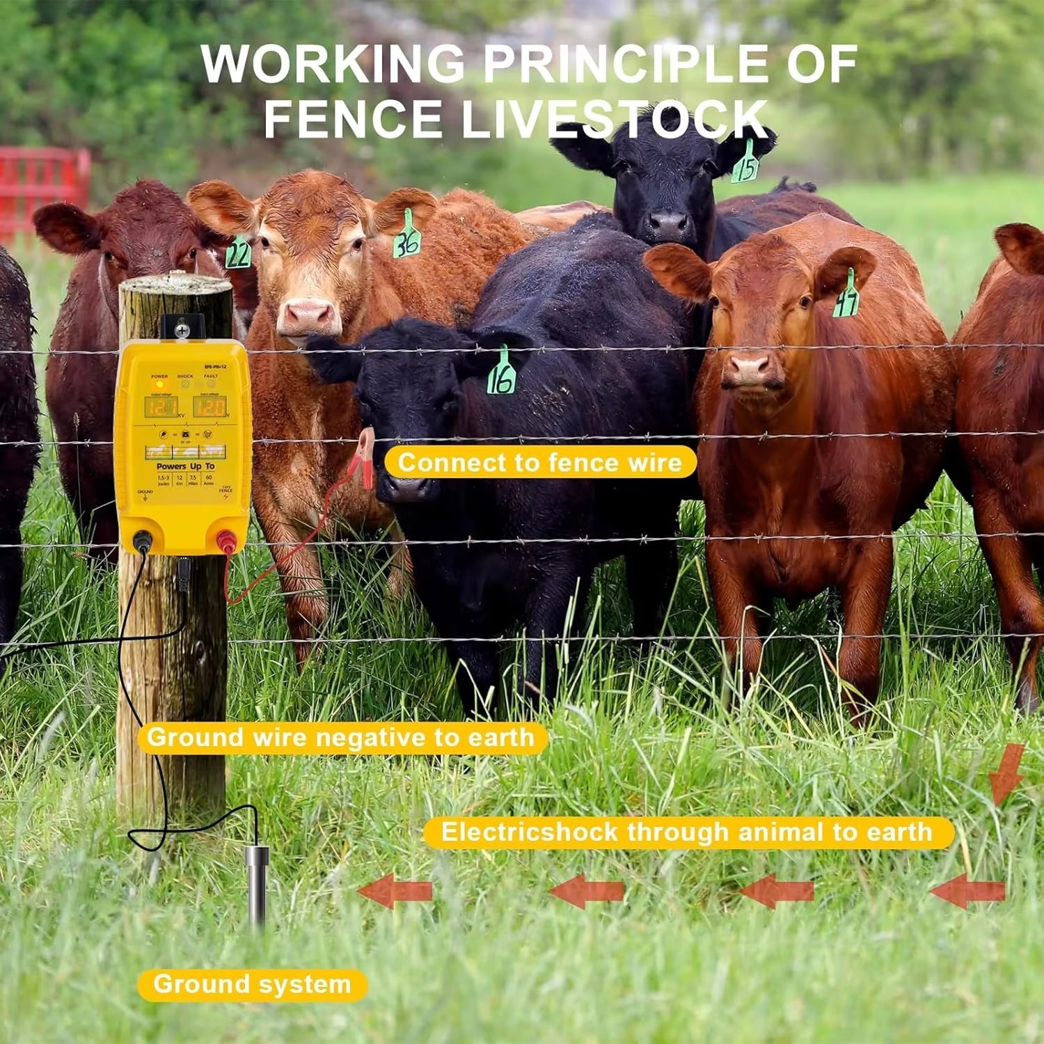 FeciLaxi 12km Electric Fence Energizer - 12.8kV / 3 Joule Output for 60-Acre Livestock Containment, Solar/Battery/AC