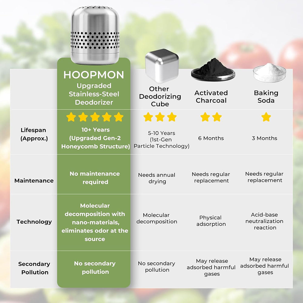 FridTost Refrigerator Deodorizer CH-Cut Nano-Catalytic 10-Year Lifespan 15X Better Than Charcoal