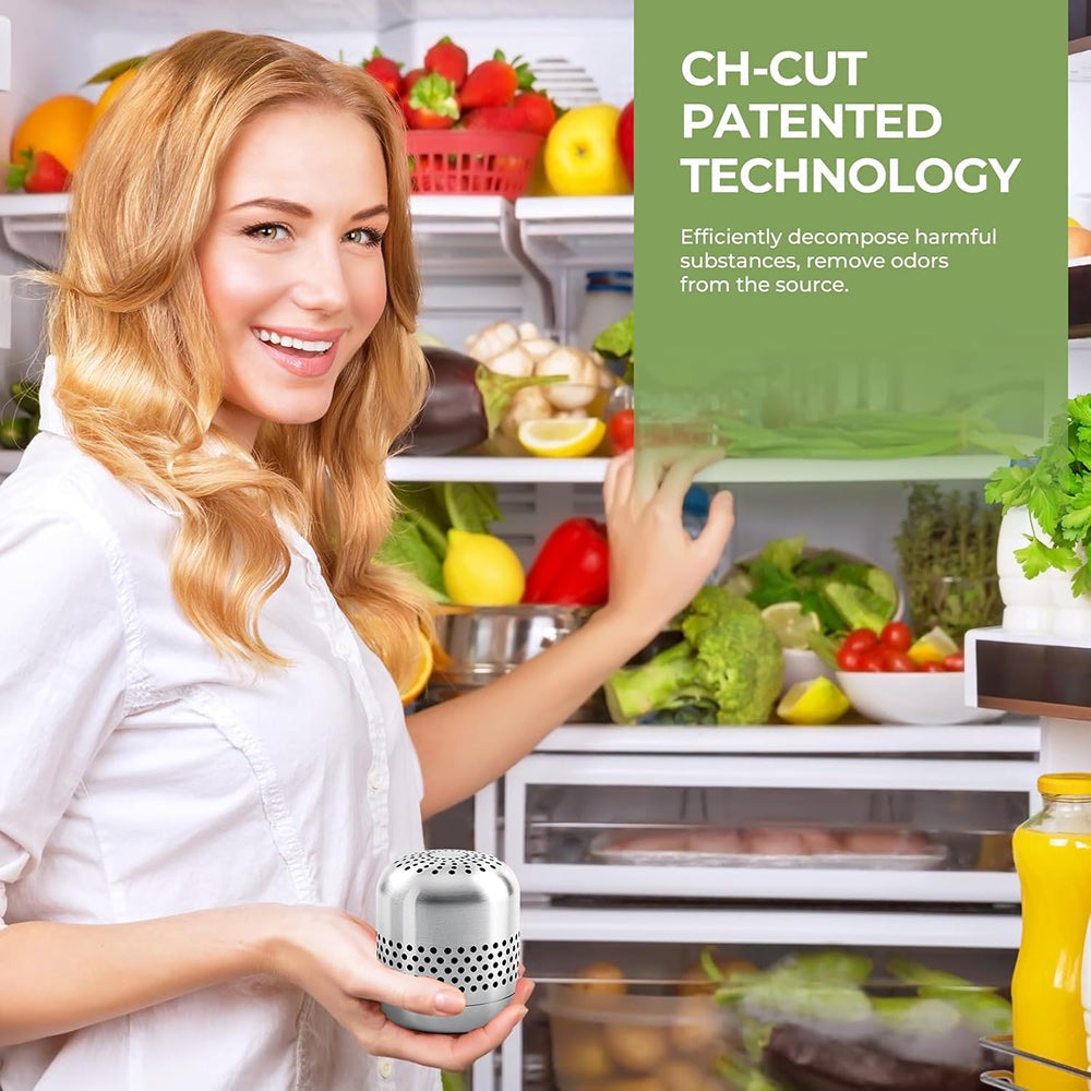 FridTost Refrigerator Deodorizer CH-Cut Nano-Catalytic 10-Year Lifespan 15X Better Than Charcoal