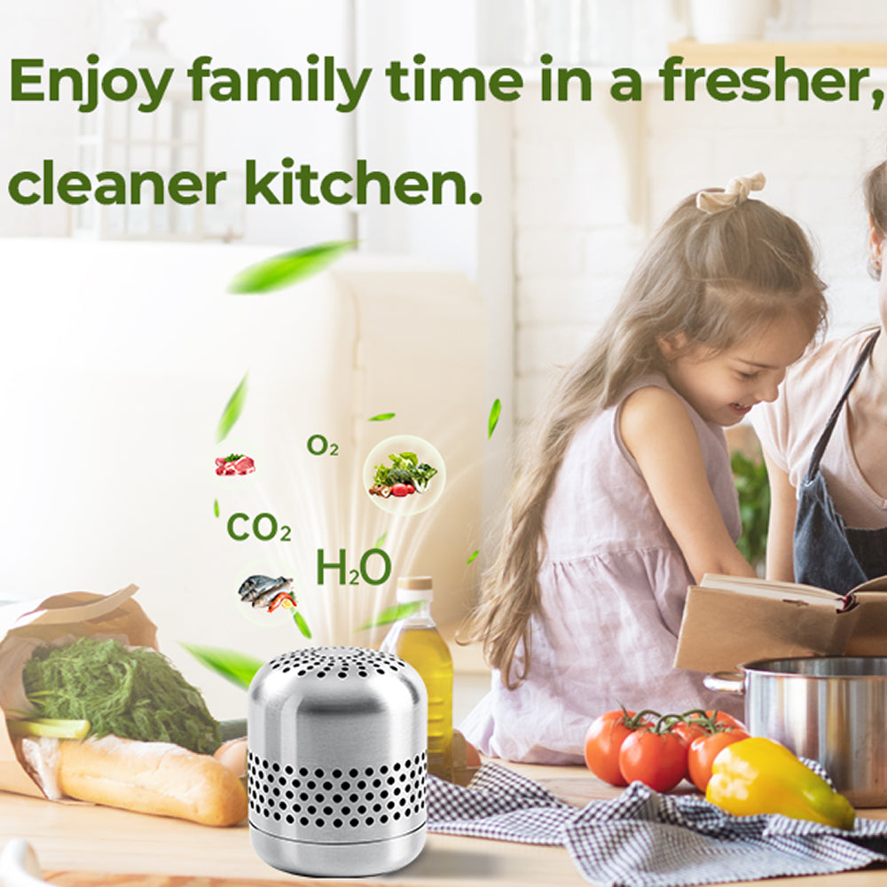 FridTost Refrigerator Deodorizer CH-Cut Nano-Catalytic 10-Year Lifespan 15X Better Than Charcoal