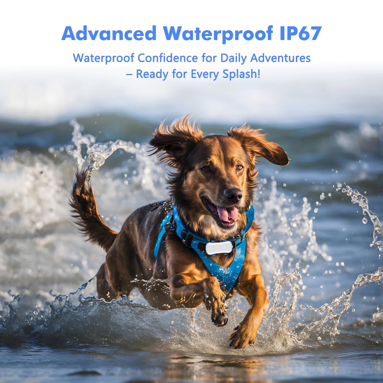GeoPapup Real-Time Dog GPS Tracker with Escape Alerts