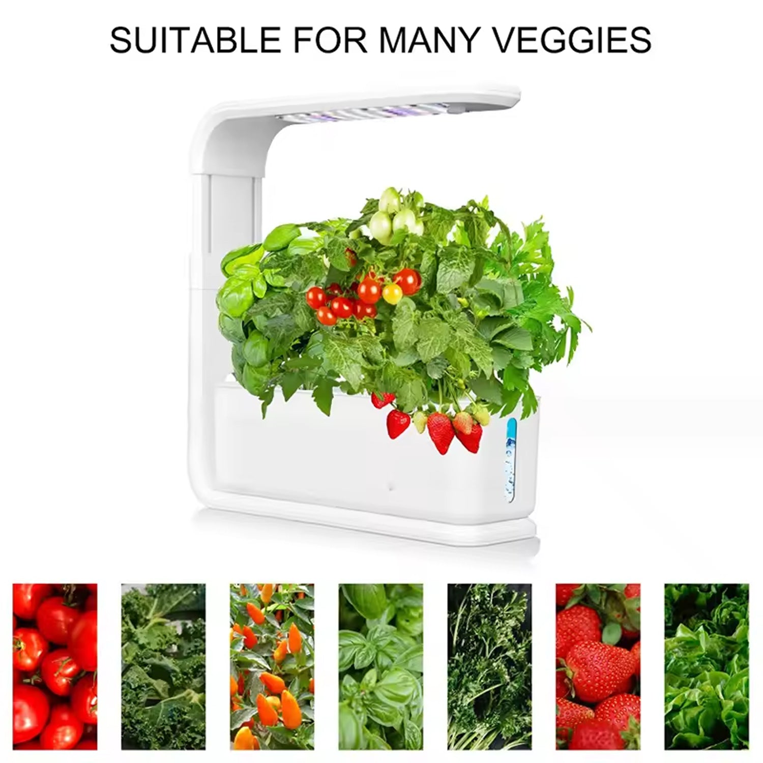 GreenKixa Indoor Hydroponic Garden - 15W Full Spectrum LED Grow Light, Silent Pump System
