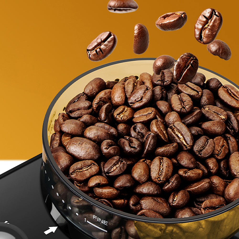 GrixFeni 28-Setting Precision Burr Coffee Grinder for Barista Results