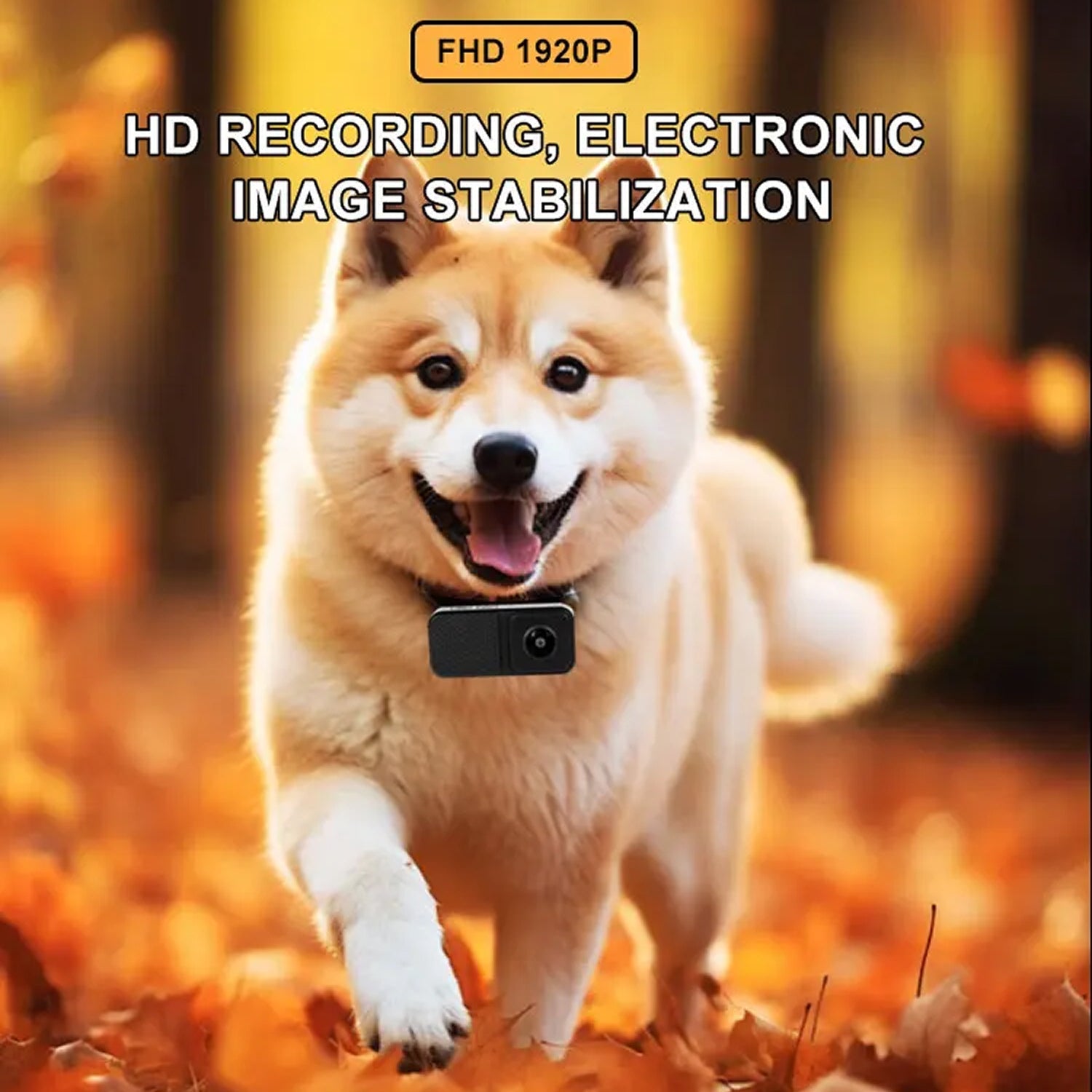 KITTITREK 1080P HD Pet Camera with 160 Wide-Angle Lens