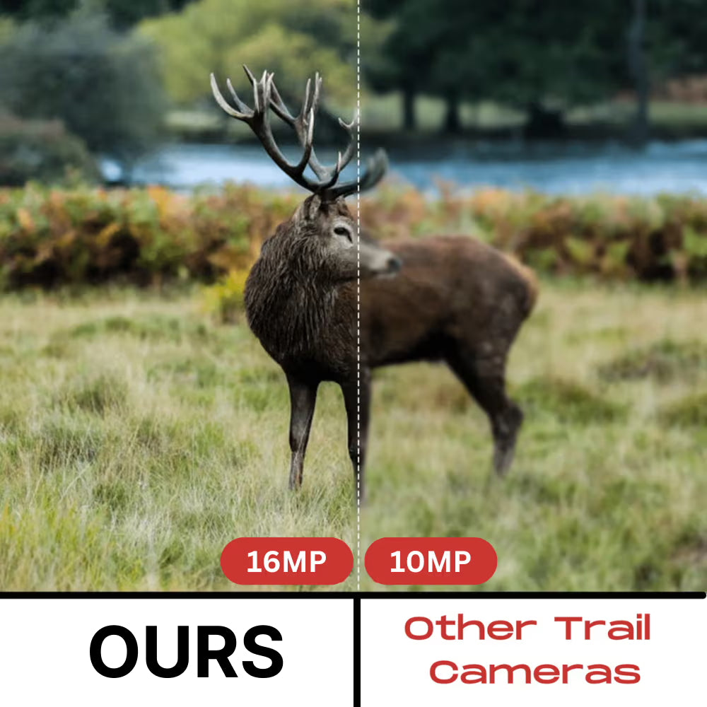 ScoxeCam 16MP No-Glow Stealth Trail Camera 0.2s Trigger
