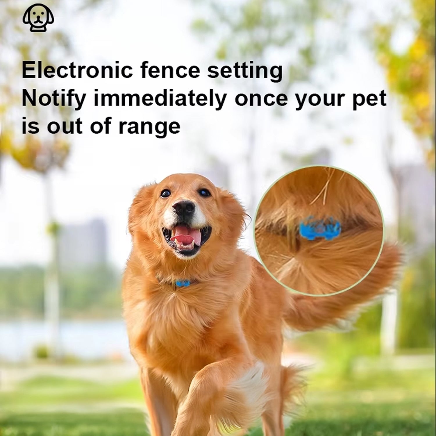 DokiNaxi 4G Pet GPS Tracker with 300-Day Extended Battery, IP67 Waterproofing, and Real-Time Multi-Mode Positioning