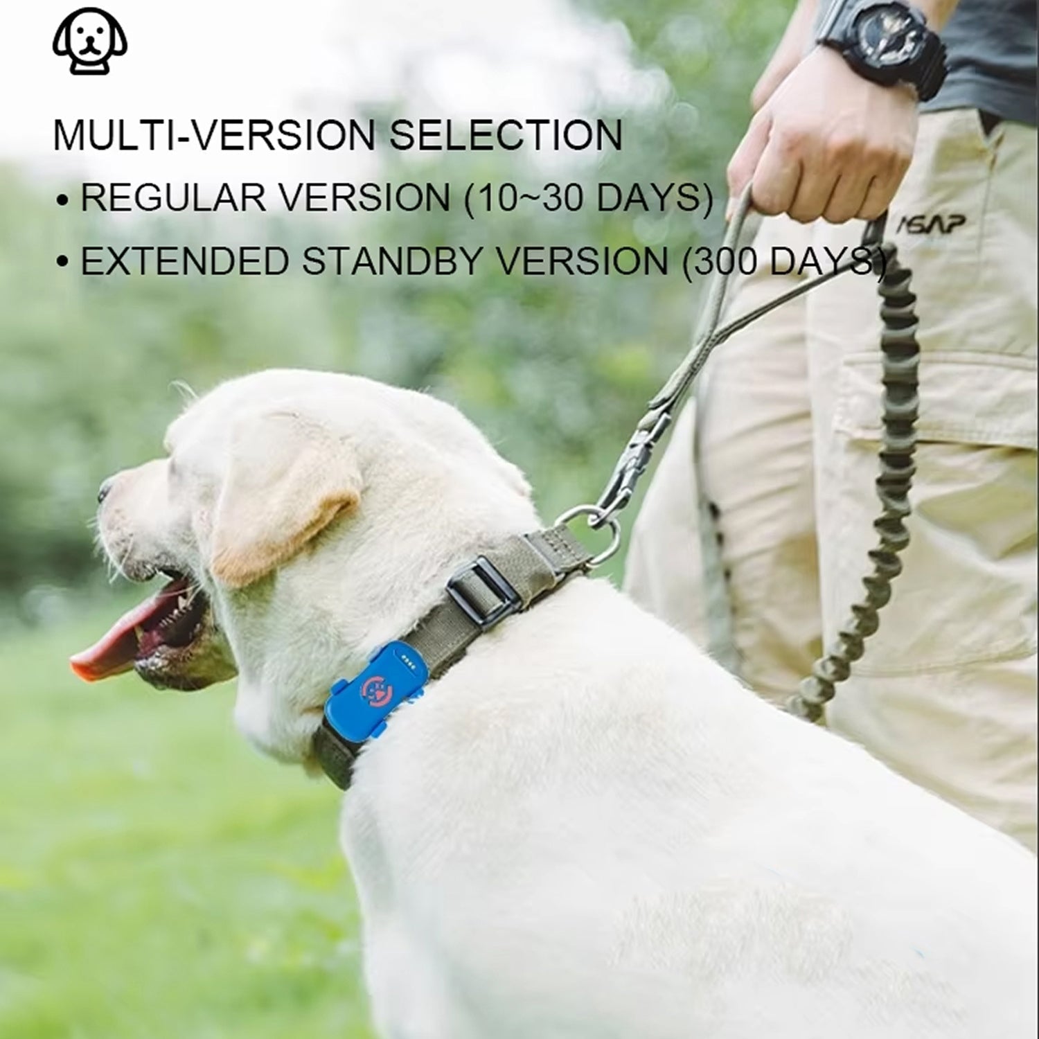 DokiNaxi 4G Pet GPS Tracker with 300-Day Extended Battery, IP67 Waterproofing, and Real-Time Multi-Mode Positioning