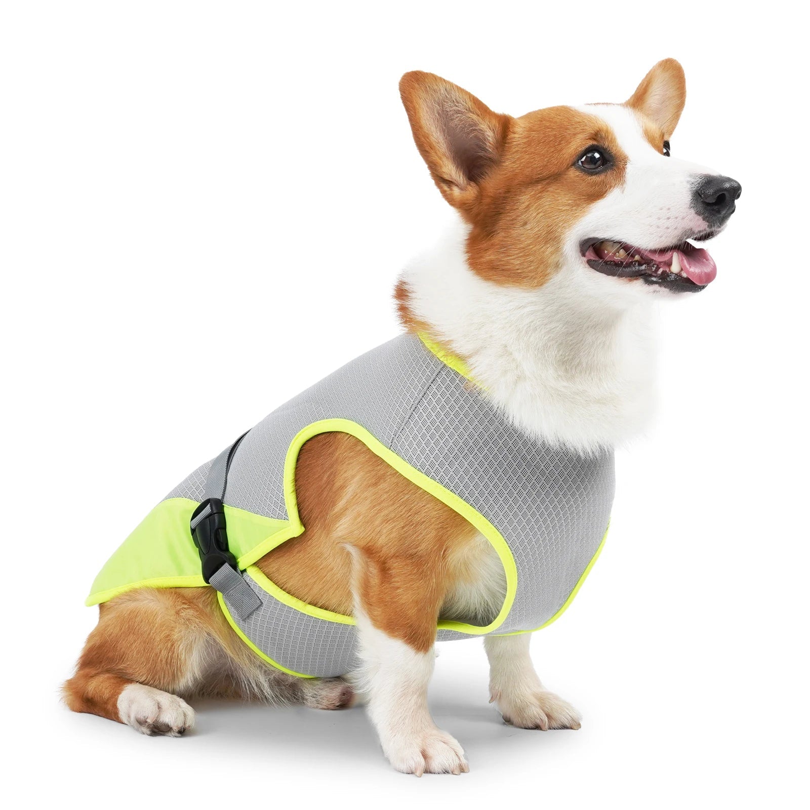 VexiDomic Breathable Mesh Dog Cooling Vest for Summer Heat