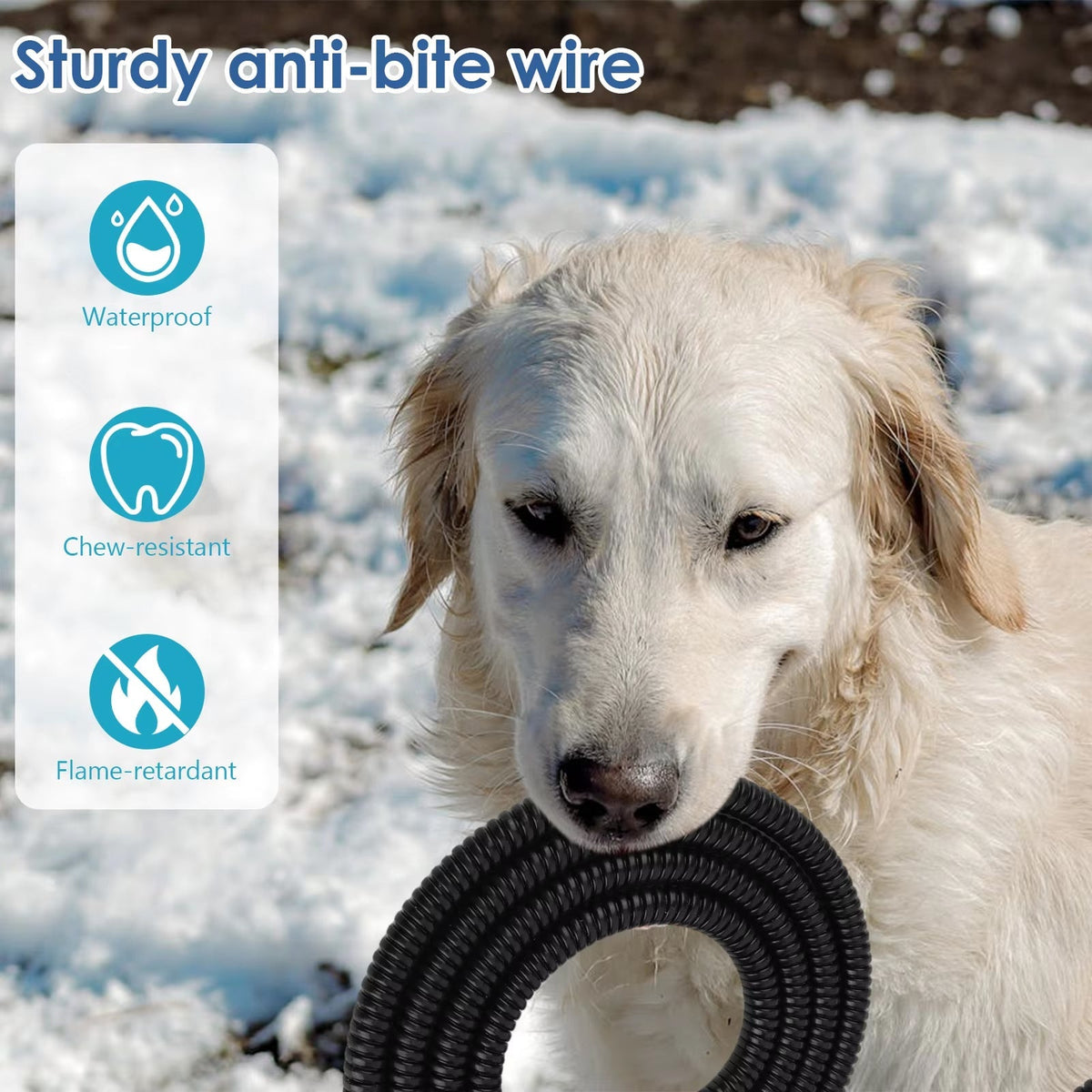 WarmDrino Heated Dog Water Bowl - 3.2L Anti-Freeze Heated Pet Bowl