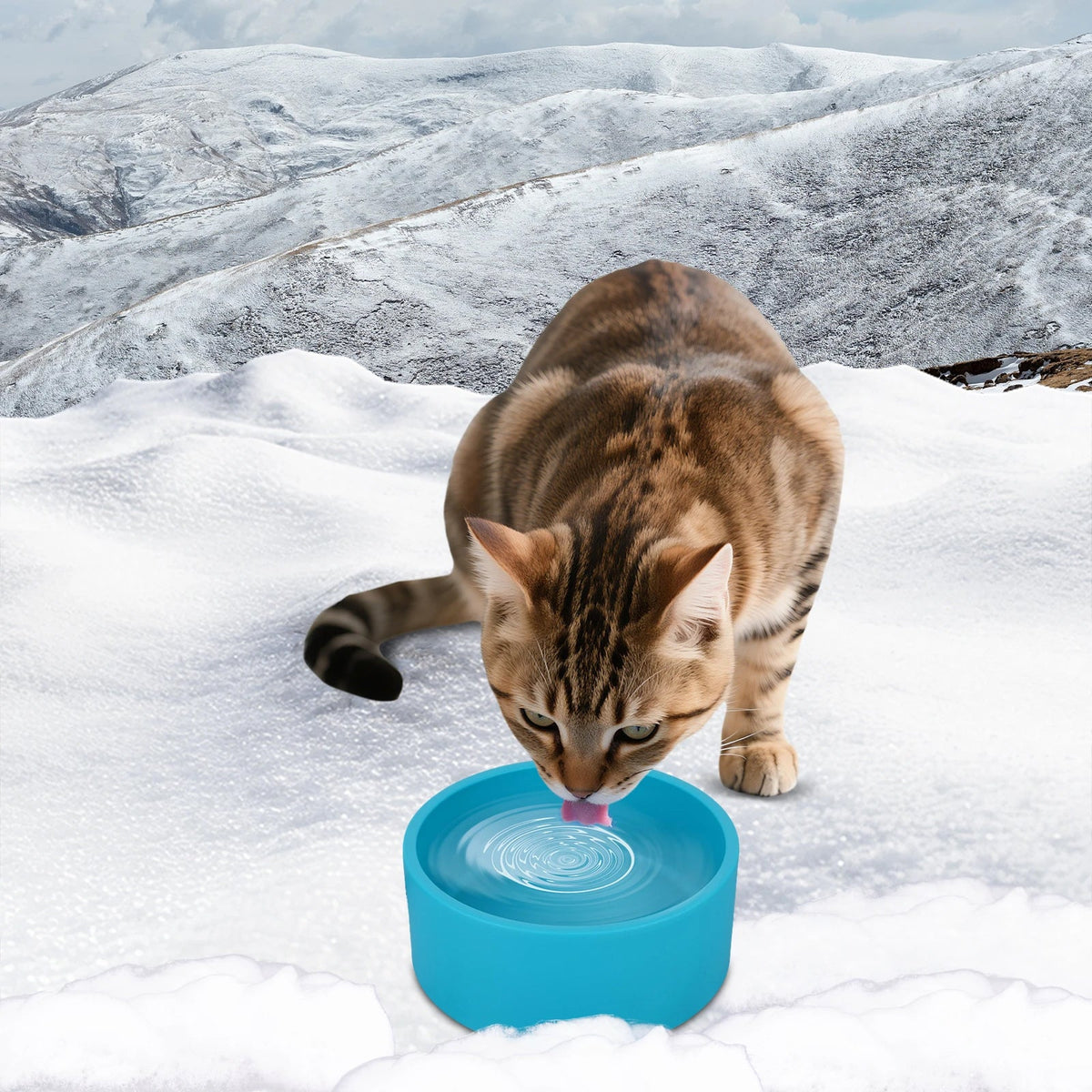 WarmDrino Heated Dog Water Bowl - 3.2L Anti-Freeze Heated Pet Bowl